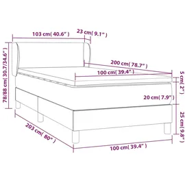 vidaXL Boxspringbett 100 x 200 cm Schwarz