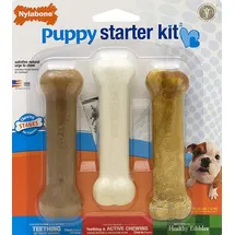 Nylabone Kauspielzeug Starter Kit S Mehrfarbig