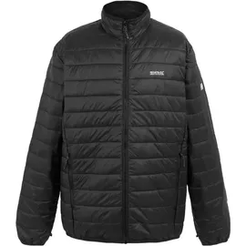 Regatta Wentwood IX Herren Grau XXL