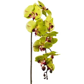 Creativ green Kunstpflanze CREATIV GREEN, grün, H:98cm, Kunststoff, Polyester, Kunstpflanzen, Kunstpflanze, 3er Set