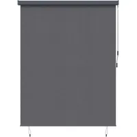 VidaXL Outdoor Rollo Striped Manuell Anthrazit 200 x 250