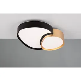 Trio Rise 1 21W rund schwarz-gold