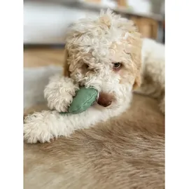 Aumüller Hundespielzeug Geist mint