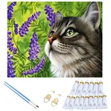 LA CUTE Malen nach Zahlen Kätzchen Malset – Kreatives Malen nach Zahlen mit Rahmen 30x40cm (Komplettes Malset: Kreatives Malen nach Zahlen mit Rahmen und Farben, Malen nach Zahlen Set: Leinwand 30x40cm, Acrylfarben, Pinsel, Rahmen), Kätzchen Malset: Hochwertige Leinwand 30x40cm mit Acrylfarben & Rahmen