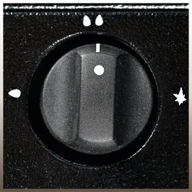 Einhell Blue Flame BFO 4200/1