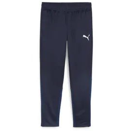 Puma teamGOAL Trainingshose Blau S