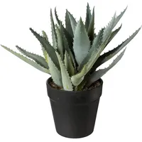 Creativ green Deko-Pflanze im Topf 23cm Aloe - grün