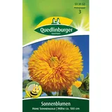 QUEDLINBURGER Sonnenblume ''hohe Sonnengold''