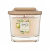 Yankee Candle Citrus Grove Duftkerze 96 g - Grün