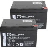 Quality Batteries Ersatzakku AGM Batterie für Kinderfahrzeug 2 x 12V 13Ah