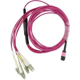 BlueOptics LWL MPO/4xLC Breakout Kabel OM4 5 Meter,