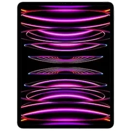 Apple iPad Pro 12,9" (6. Generation 2022) 512 GB Wi-Fi + Cellular space grau