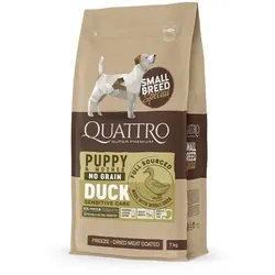 QUATTRO Ente Kleine Rassen Welpen & Mutter