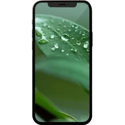 iPhone 12 Pro 128 GB 5G Smartphone 15,5 cm (6.1 Zoll) IOS 12 MP Dreifach Kamera Dual Sim (Graphit)