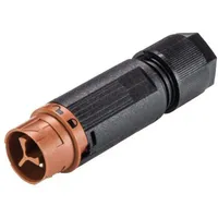 Wieland 46.032.4551.4 Rundstecker Stecker, gerade Serie (Rundsteckverbinder): RST® MINI