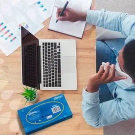 Kleenex® Kosmetiktücherbox Standard 2-lagig 24 x 100 Tücher