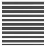 vidaXL Doppelrollo Zebrarollo 145 x 150 cm schwarz