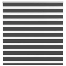vidaXL Doppelrollo Zebrarollo 145 x 150 cm schwarz