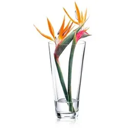 RONA Vase Ambiente transparent