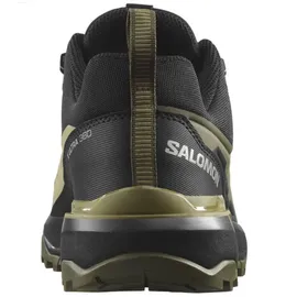 Salomon X Ultra 360 Herren dried herb/olive night/black 44