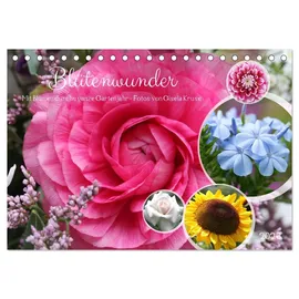 Calvendo Blütenwunder - Mit Blumen durchs ganze Gartenjahr (Tischkalender 2026 DIN A5 quer), CALVENDO Monatskalender: