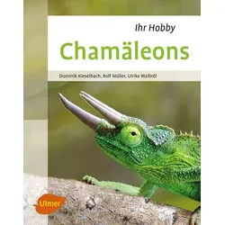 Chamäleons