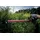Metabo HS 18 LTX 55 inkl. 2 x 2 Ah