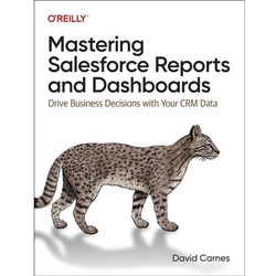 Mastering Salesforce Reports And Dashboards - David Carnes, Kartoniert (TB)
