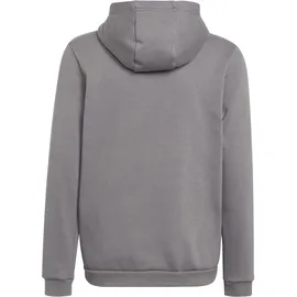 adidas Entrada 22 Sweat Hoodie, Team Grey Four, 140