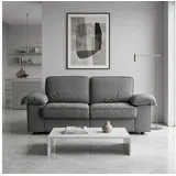 Celya Sofa mit Stauraum, 2-Personen-Sitz, Platzsparendes und komfortables Design, ideal für den täglichen Gebrauch im Wohn- oder Gästezimmer grau