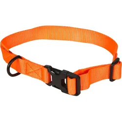 Hundehalsband orange100 fluoreszierendes Neonorange S