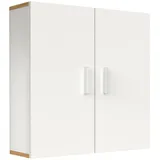 VCM Wandregal Wandschrank Landos