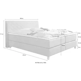 Home Affaire Parla 218 x 200 cm H2 Rosa