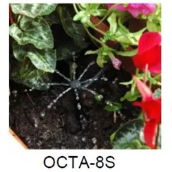 Octa Mitter Trofper / Bubbler (Octa Mitter: End  Tropfer druckkomp.)