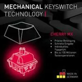 Cherry MX 2.0S RGB, MX RGB BLACK, USB, DE (G80-3821LUADE-2)