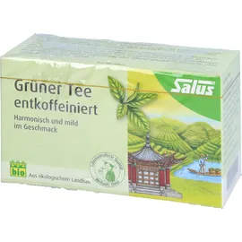 SALUS Grüner Tee Teebeutel 15 St.
