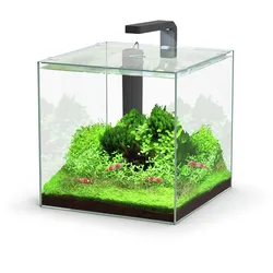 Aquatlantis Kubus LED Aquarium-Set 22 Liter