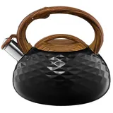 Ambition Golf 2,3 l Schwarz