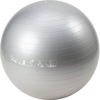 Energetics Gymnastik-Ball Basic SILBER - 65