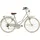 ANITAbyAlpina VIAGGIO 28 Zoll RH 48 cm Damen grau