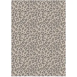 Ross 3er Pack Baumwoll-Geschirrtücher Leoprint 50x70 cm