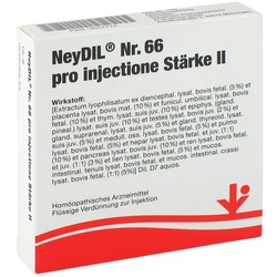 Neydil Nummer 6 6 pro injectione St. Ii Ampullen