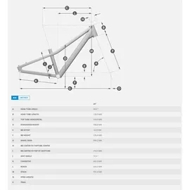 Scott Bikes Scale RC 200 2025 20 Zoll RH 9 cm schwarz