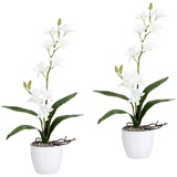 Creativ green Kunstpflanze »Orchidee Dendrobie«, im Keramiktopf, weiß
