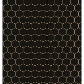 CONTOUR Hexagon Geo Vliestapete 10 m x 52 cm schwarz 34193