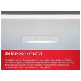 Amica VKS 358 150 E Kühlschrank (370 l, 1855 mm hoch, Edelstahl)