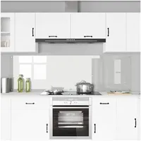 vidaXL Küchenrückwand 2 pcs Transparent 100 x 60 cm Gehärtetes Glas