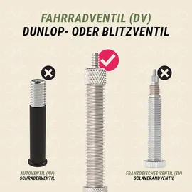 Prophete Schlauch 0178 16 Zoll Dunlopventil