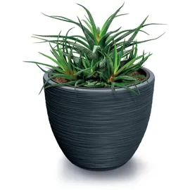 Prosperplast Furu Ø 56,9 x 44,5 cm Anthrazit