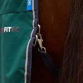 Weatherbeeta Comfitec Plus Dynamic Turnout Detach-A-Neck 220g, 140